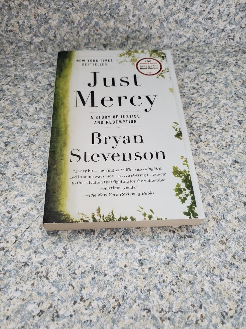 Just Mercy by Bryan Stevenson Paperback Preowned